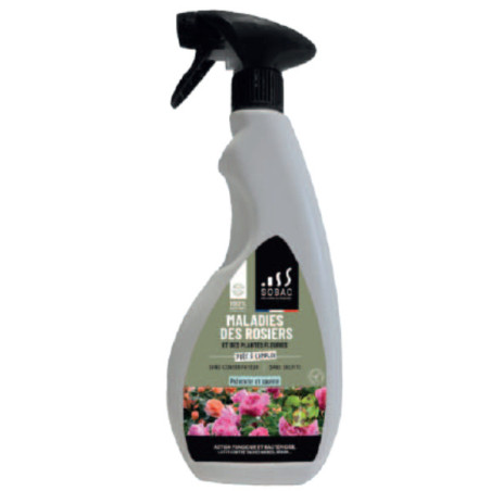 Spray maladie des rosiers SOBAC à base de chitosan.