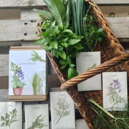 Coffret de 5 aromatiques