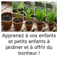 Lot de 5 griffes de Muguet