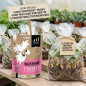 Pack Famille 22 plants + Bactériosol offert