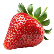 Fraisier Magnum en racines nues.
