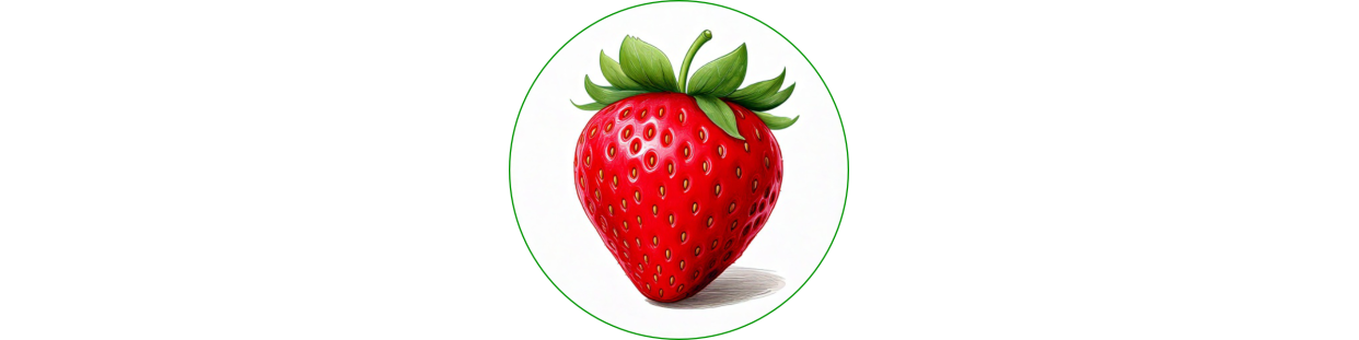 LES VARIETES DE FRAISIERS EN RACINES NUES DE FRAISIERS DE FRANCE