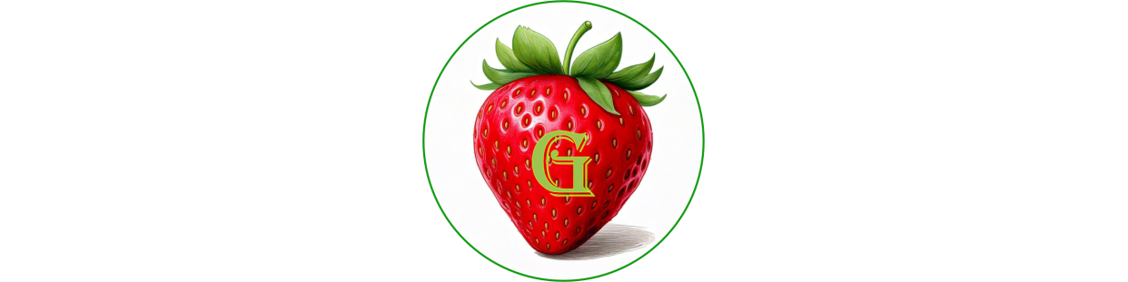 Plants de fraisiers grimpants